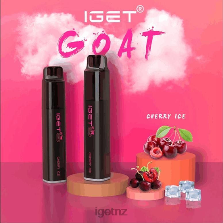 X68N2485 IGET BAR PLUS - POD ONLY - WATERMELON ICE - 6000 PUFFS (NO BATTERY BASE) New Zealand