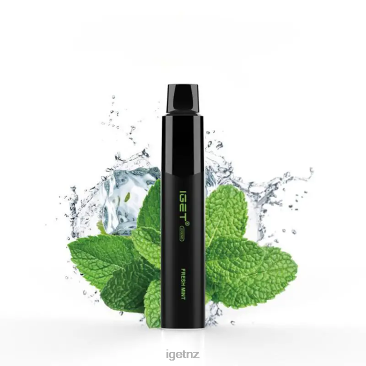 D6282326 IGET Legend 4000 Puffs - IGET Store Fresh Mint