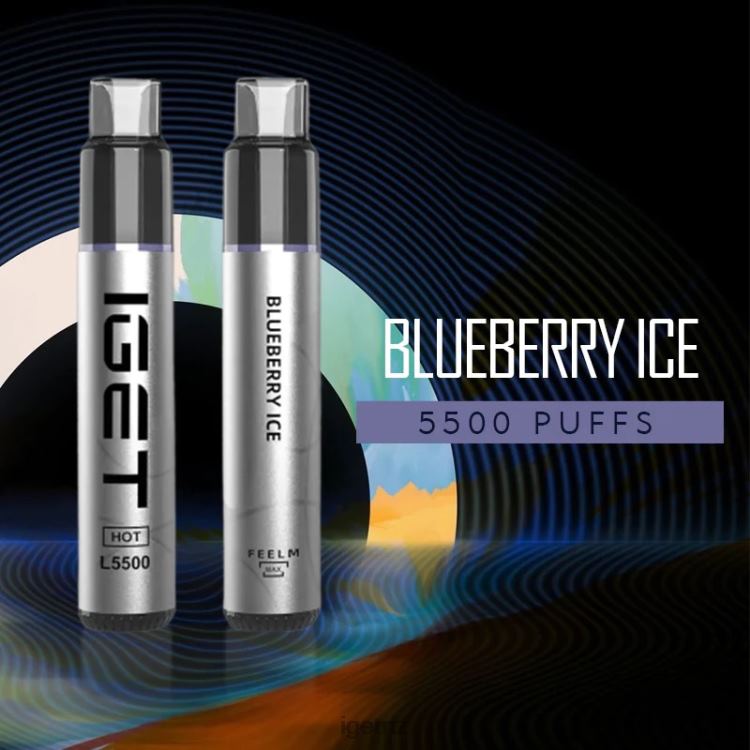 D6282522 IGET HOT - 5500 PUFFS - IGET Sale Blueberry Ice